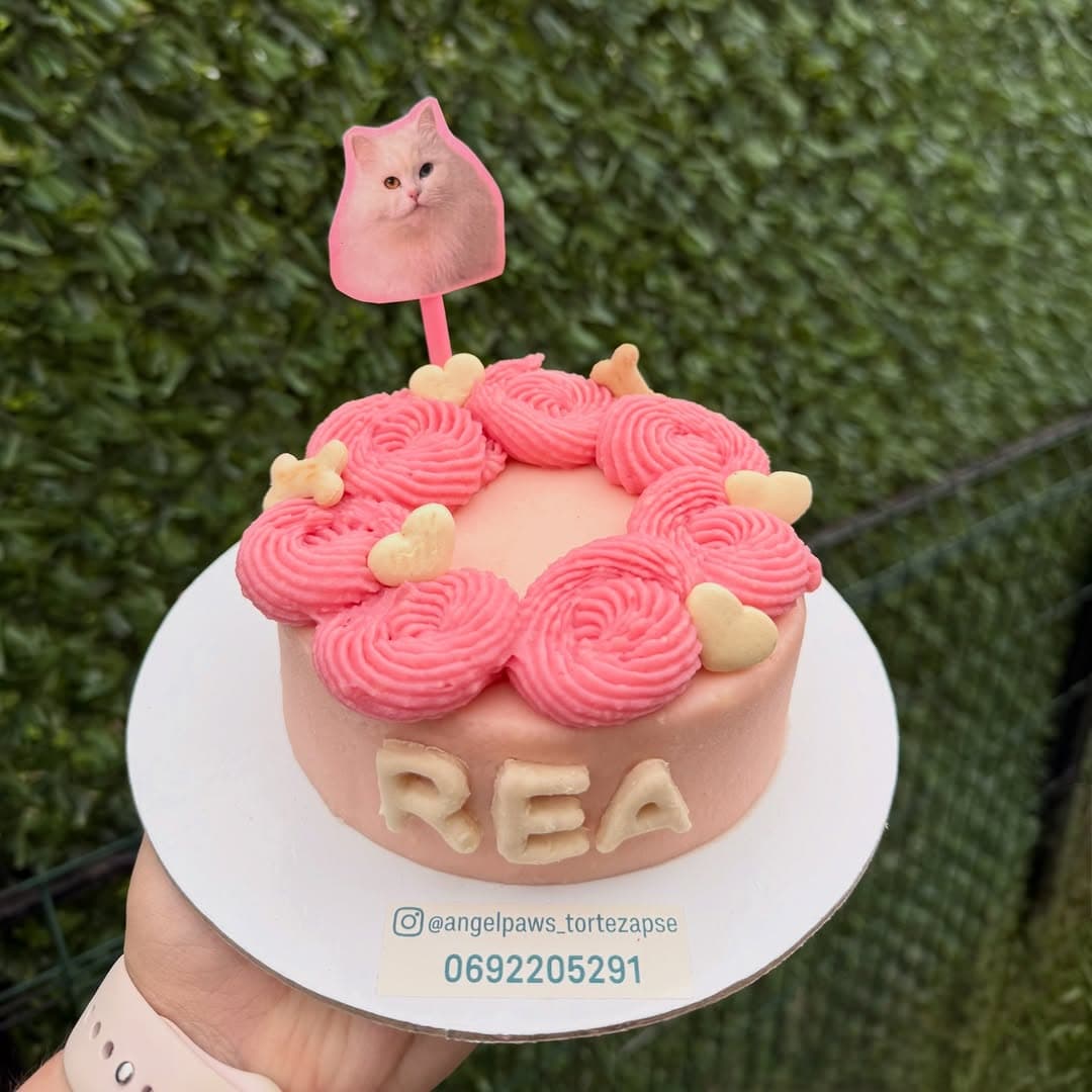 Torta za mačke Rea - Subotica tortice