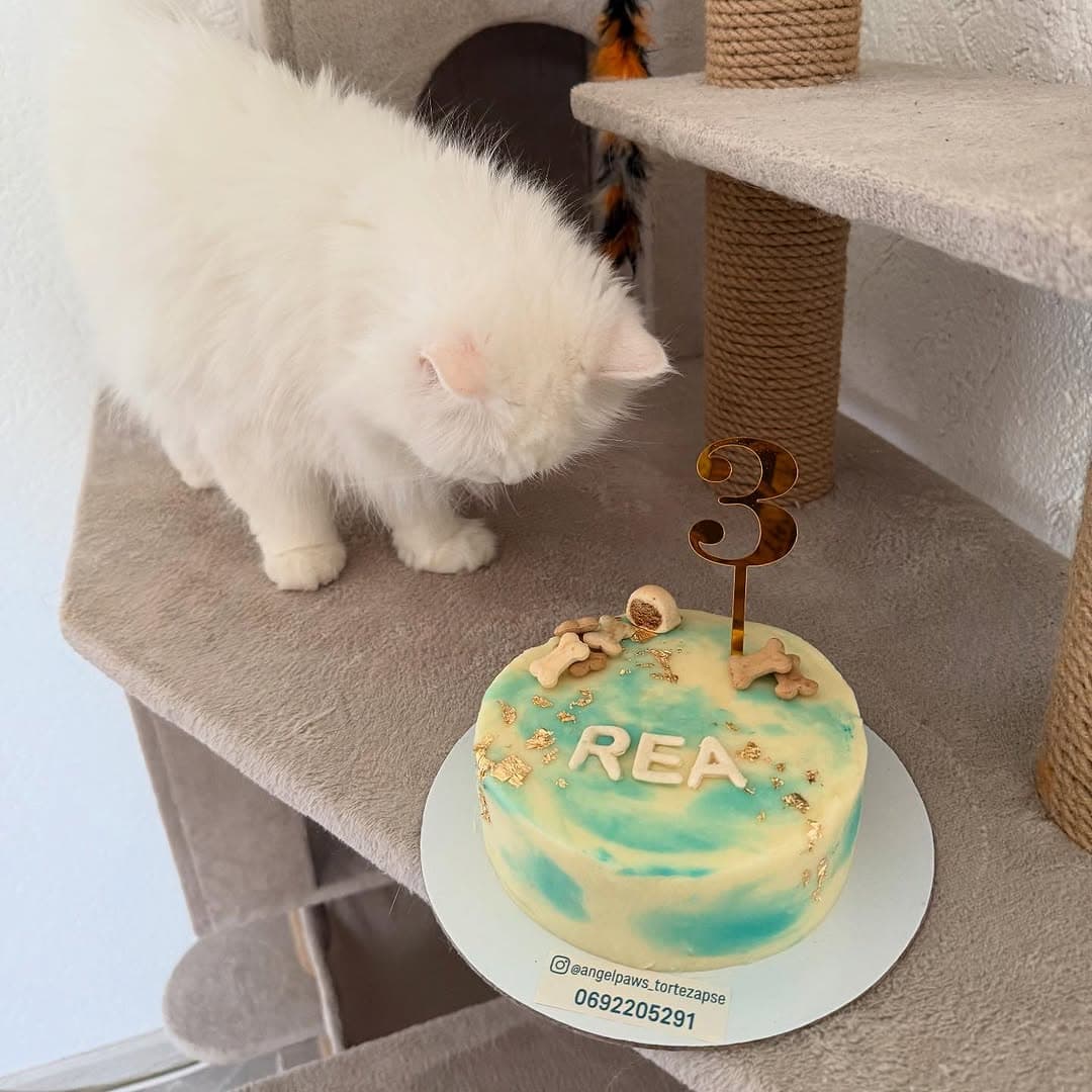 Maks i njegova birthday tortica