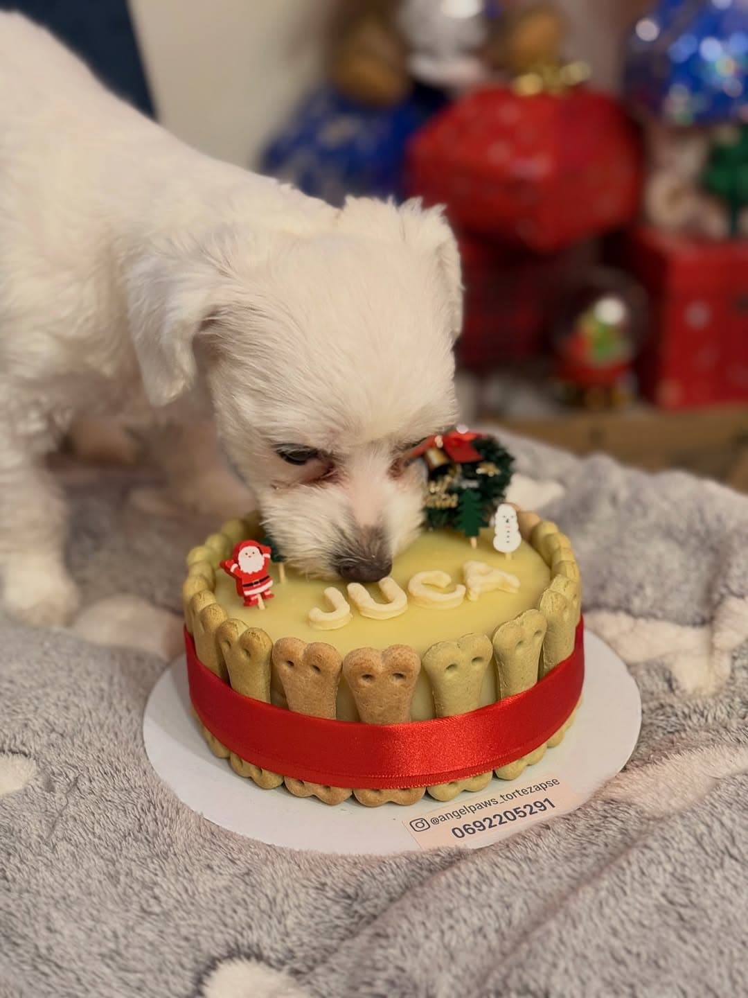 Luna dobila svoju posebnu tortu