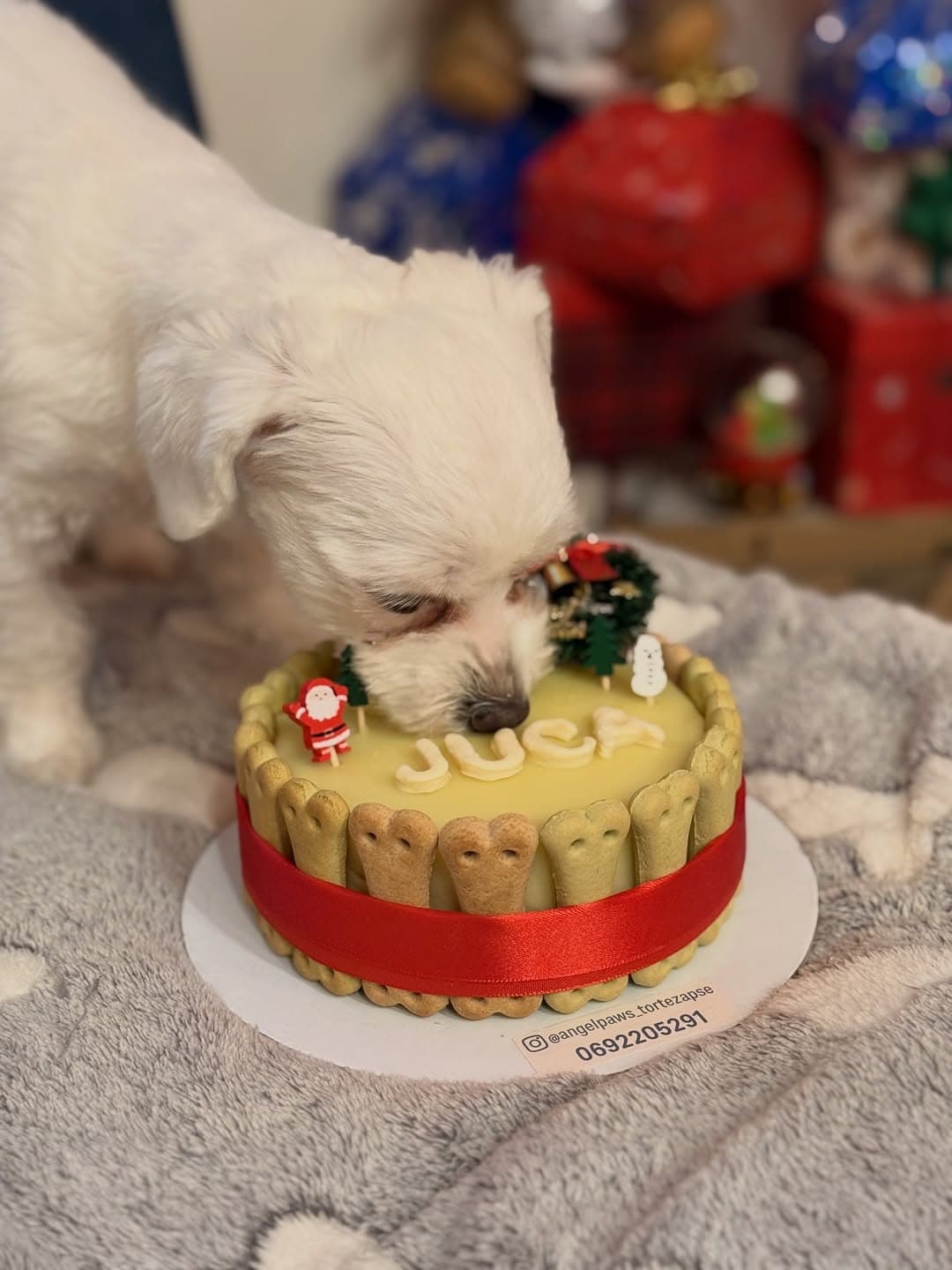 Luna i njena specijalna poslastica