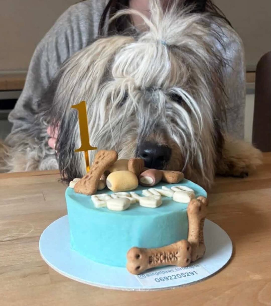 Reks i njegova birthday torta