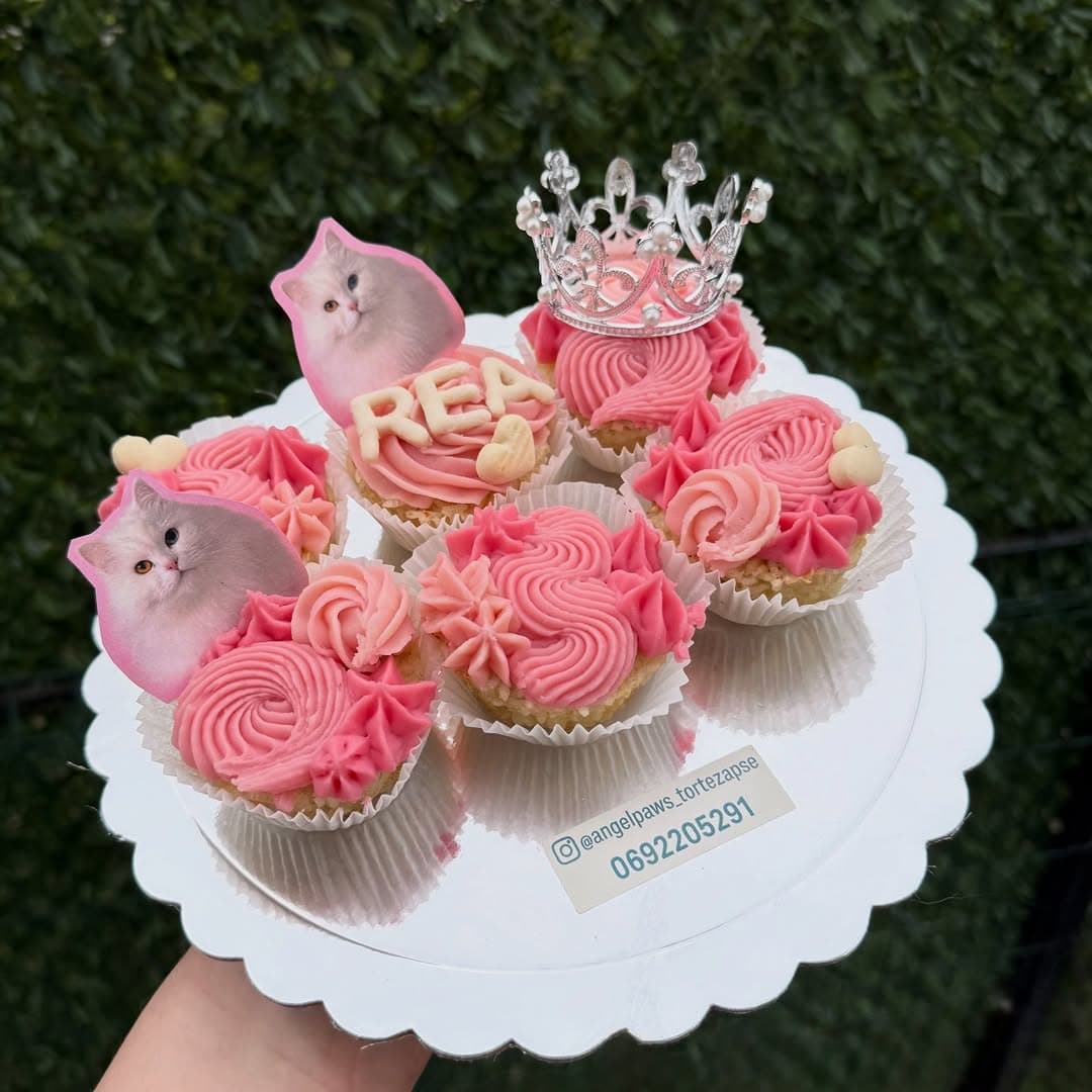 Bella i njena tortica