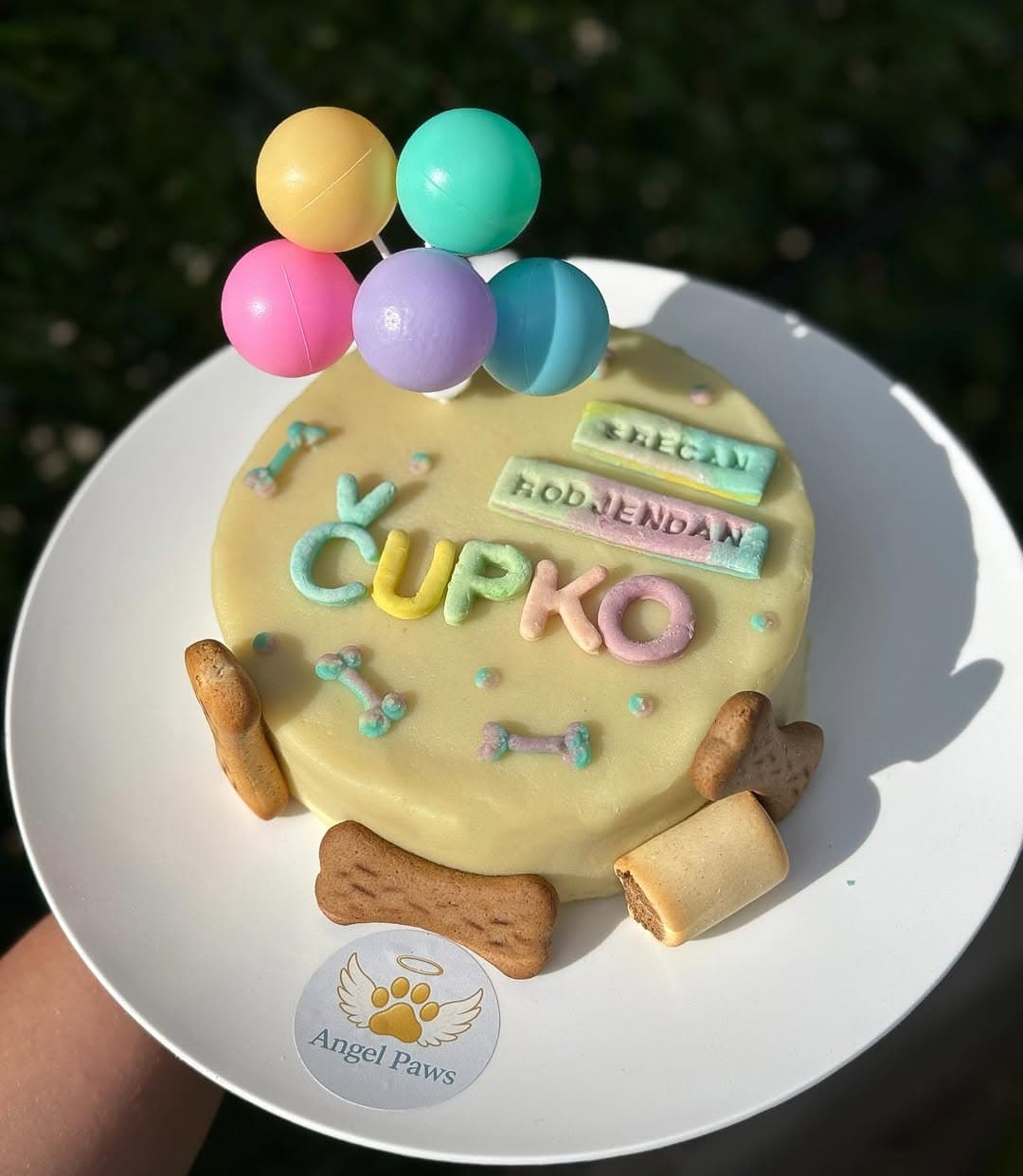 Torta za psa Čupko - naručivanje Subotica